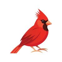 Stylized Cardinal Bird on White Background vector