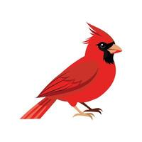 Cardinal Artistic Design on White Background vector