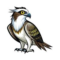 Stylized Osprey on White Background vector