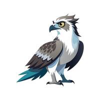 Osprey Bird Unique Illustration vector