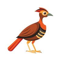 Rail Bird Unique Illustration on White Background vector