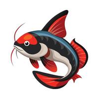 General Redtail Catfish on White Background vector