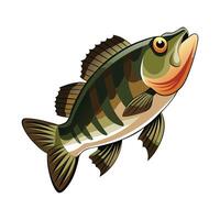 Stylized Smallmouth Bass on White Background vector