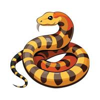 General South American Bushmaster on White Background vector