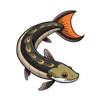 South American Lungfish on White Background vector
