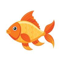 Tangerine Fish on White Background Illustration vector