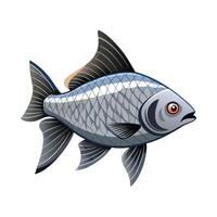 Stylized Tinfoil Barb Barbonymus Schwanenfeldii vector