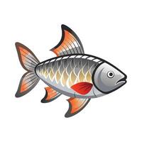 Tinfoil Barb Unique on White Background vector