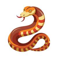 General Urutu Snake on White Background vector