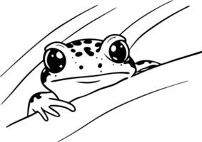 Realistic Frog Peeking from Branch Illustration for Coloring Books and Nature Art vector