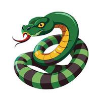 Waglers Pit Viper Unique on White Background vector