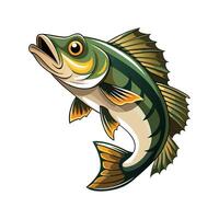 Stylized Walleye on White Background vector