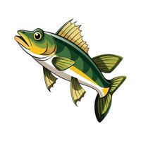 Walleye Creative on White Background vector