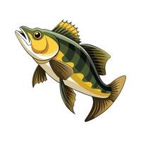 Walleye Unique Design vector