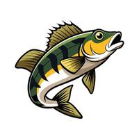 General Walleye on White Background vector