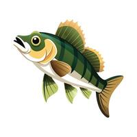 Unique Walleye on White Background vector