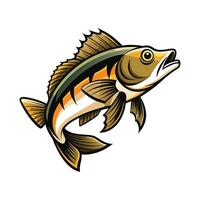 Stylized Walleye on White Background II vector