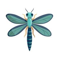 Dragonfly on White Background vector