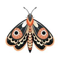 General Urania Leilus on White Background vector