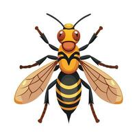 Unique Vespa Crabro Design vector