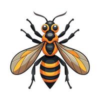 Vespa Mandarinia on White Background vector