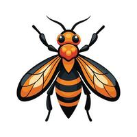 Stylized Vespa Mandarinia vector