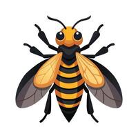 Unique Vespa Mandarinia Design vector