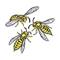 Display of Yellowjackets on Clean White Background vector