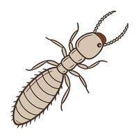 Dramatic Capture of Zootermopsis Angusticollis on White vector