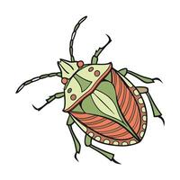 Acanthosoma Insect Design on White Background vector