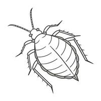 Acytoctonus Pisum Insect Design on White vector