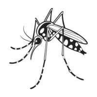 Aedes Aegypti Mosquito Design on White vector