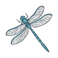Aeshna Cyanea Dragonfly Design on White vector