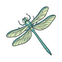 Creative Aeshna Cyanea Dragonfly Illustration vector