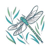 Aeshna Cyanea Dragonfly Design with White vector