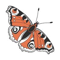 Beautiful Aglais Io Butterfly Graphic vector