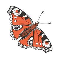 Aglais Io Butterfly Design on White Background vector