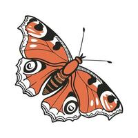 Stylish Aglais Io Butterfly Illustration vector