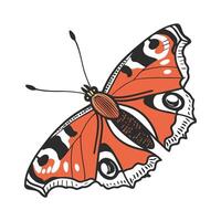 Creative Aglais Io Butterfly Graphic on White vector