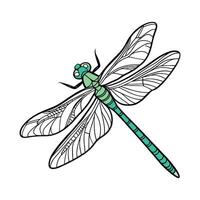 Anax Imperator Dragonfly Design on White vector