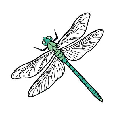 Anax Imperator Dragonfly Design on White
