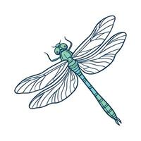 Stylish Anax Imperator Dragonfly Graphic vector
