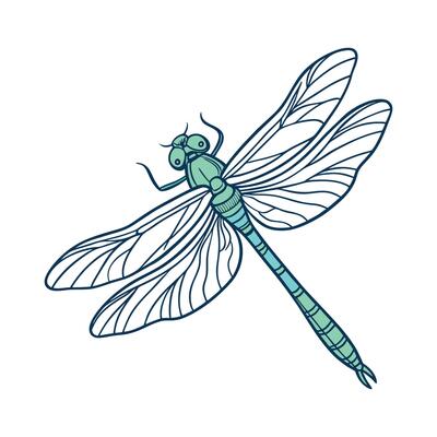 Stylish Anax Imperator Dragonfly Graphic