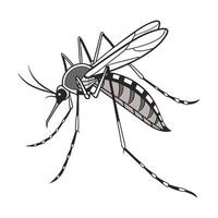 Anopheles Gambiae Mosquito Design on White vector