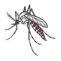 Creative Anopheles Gambiae Mosquito Graphic vector