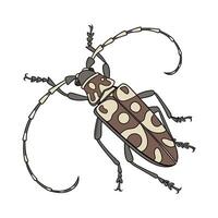 Creative Anoplophora Glabripennis Beetle Design vector