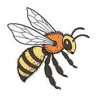 Creative Anthophora Bee Illustration on White vector