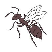 Stylish Ant Insect Illustration on White vector