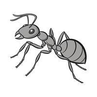 Stylized Ant on White Background vector