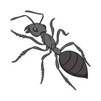 Unique Ant Design on White Background vector